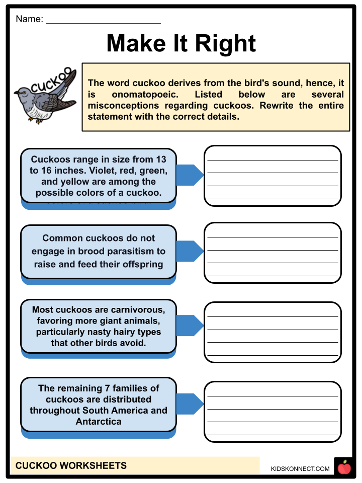 cuckoo worksheets: make it right