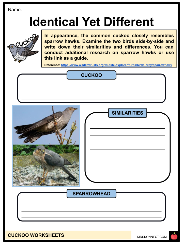 Cuckoo Facts & Worksheets | Species, Habitat, Ecology