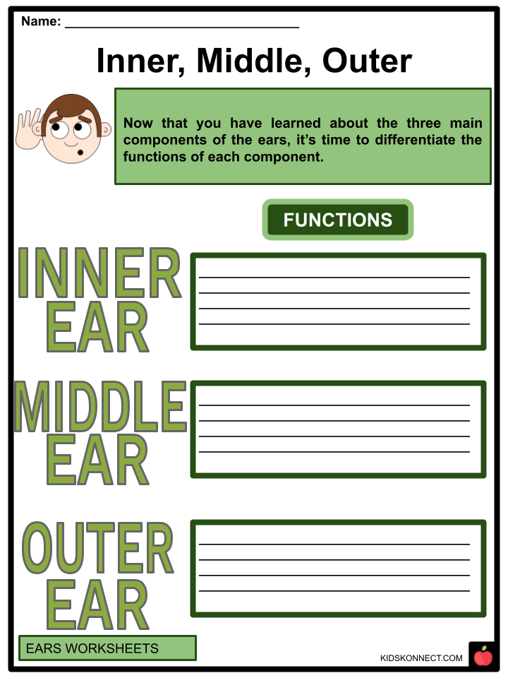 Ears Worksheets