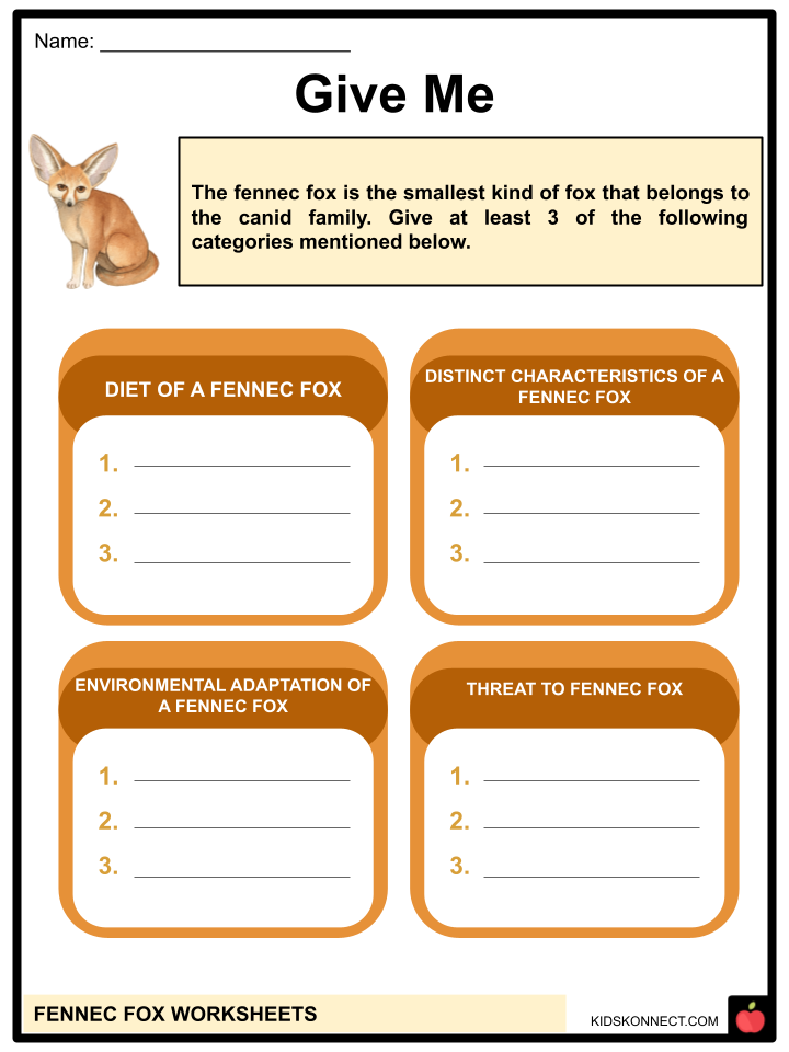 Fennec fox worksheets