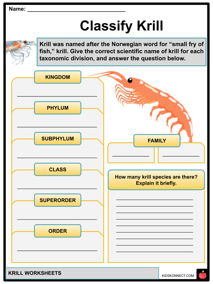 Krill worksheets