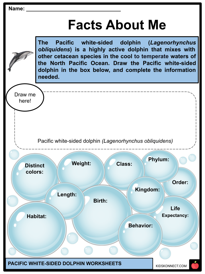 Pacific White-sided Dolphin worksheets: facts about me