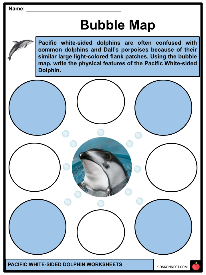 Pacific White-sided Dolphin worksheets: bubble map