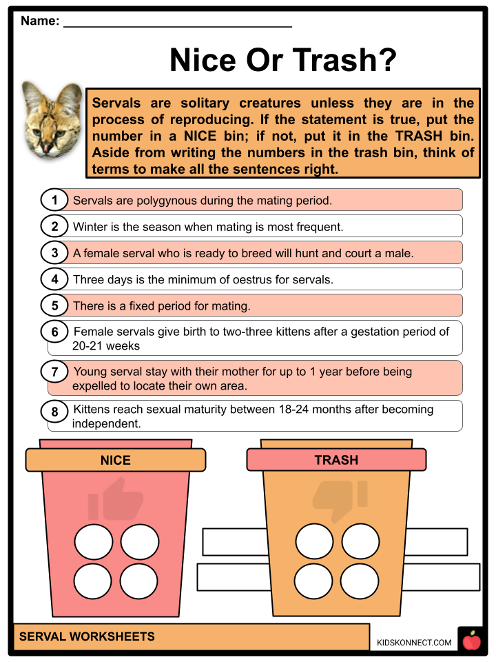 serval worksheets