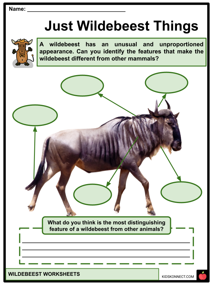 Wildebeest Worksheets