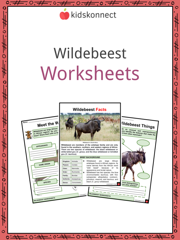 Wildebeest Worksheets & Facts | Species, Habitat, Conservation