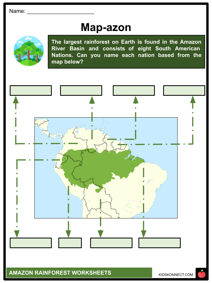 Amazon Rainforest Worksheets