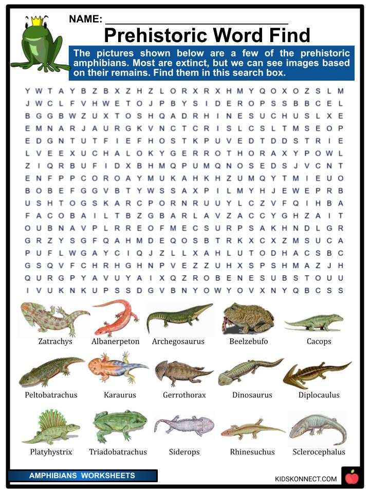 Amphibians Worksheets