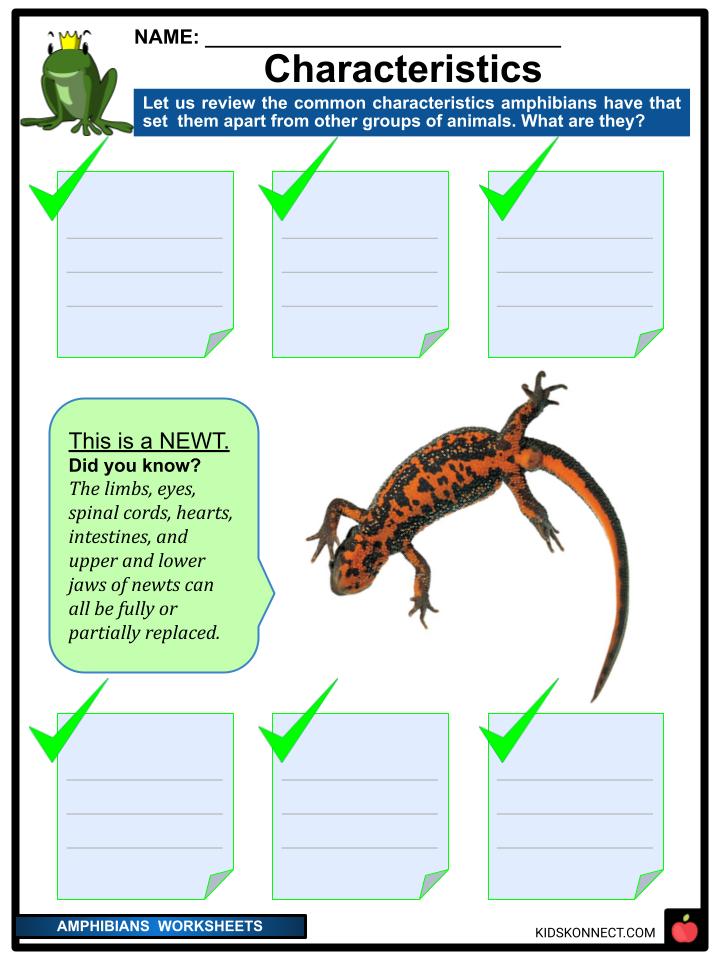 Amphibians Worksheets