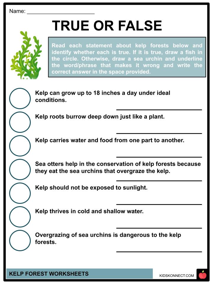 Kelp Forest Worksheets