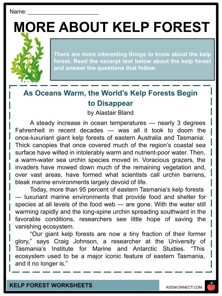 Kelp Forest Worksheets