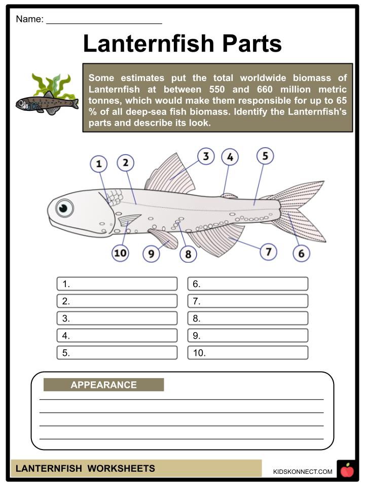 Lanternfish Worksheets