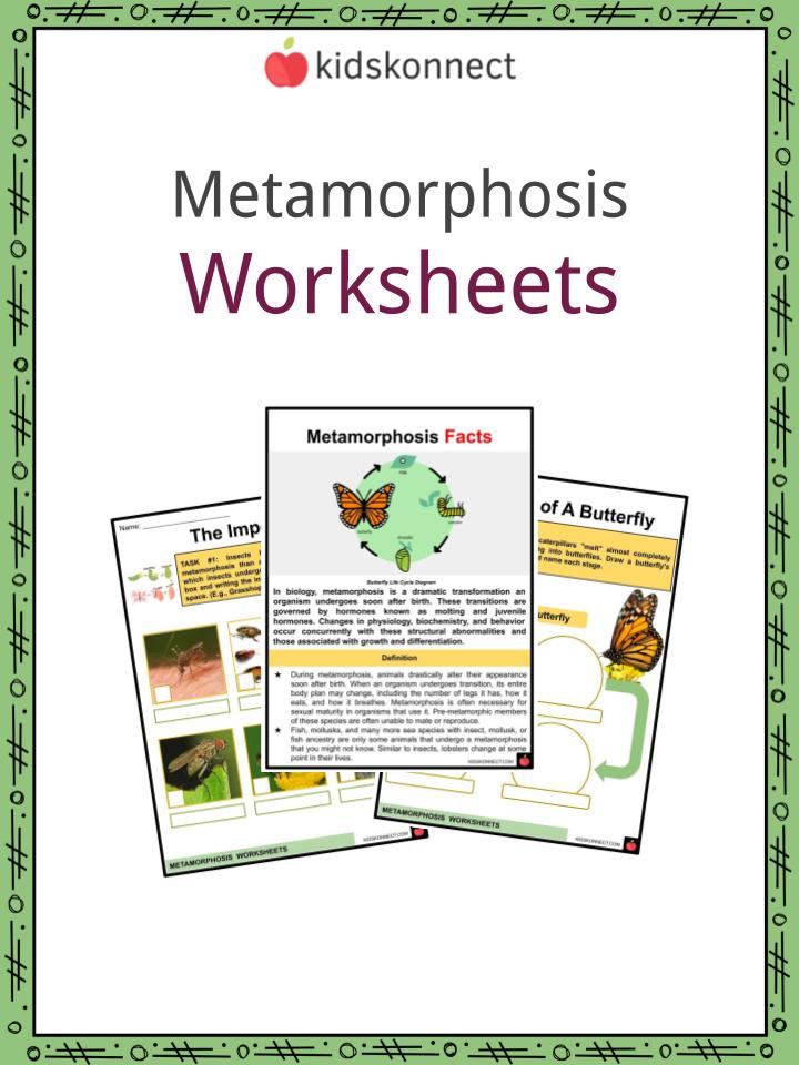 metamorphosis-worksheets-definition-types-examples