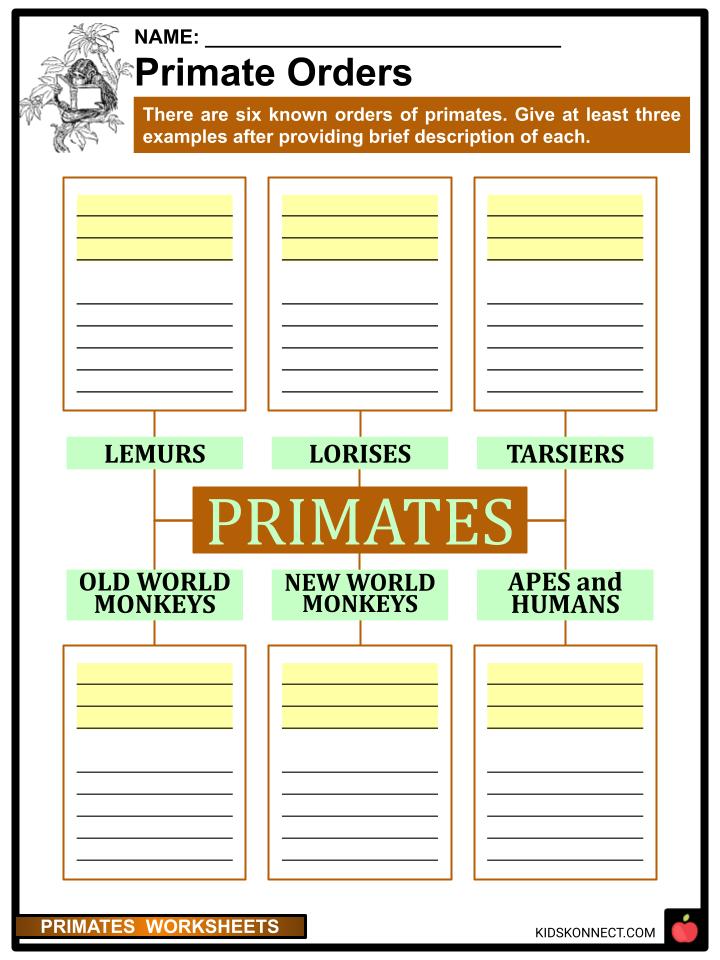 Primates Worksheets