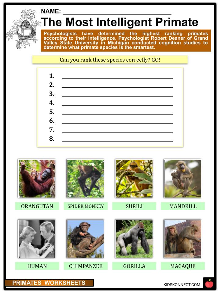 Primates Worksheets