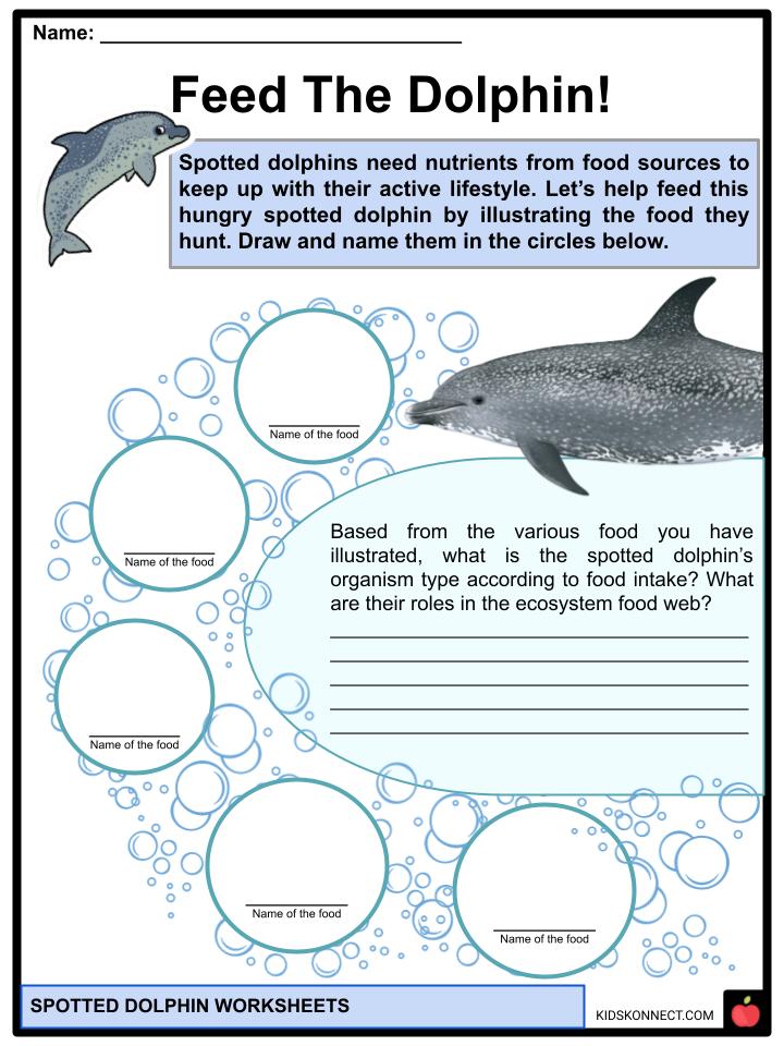 Dusky Dolphin Facts, Worksheets For Kids