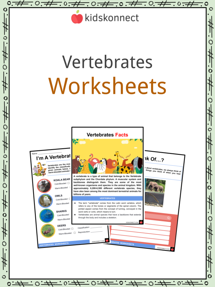 Vertebrates Worksheets & Facts | Classification, Evolution