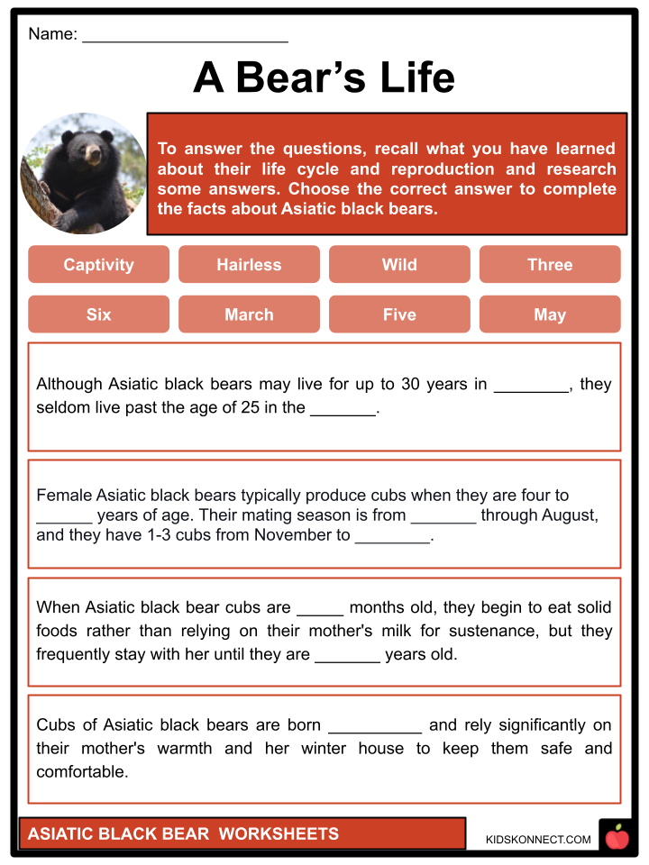 Asiatic Black Bear Worksheets
