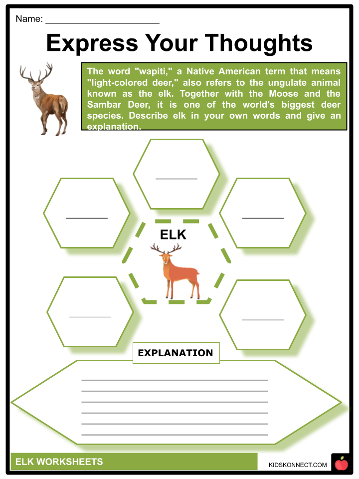 Elk Worksheets