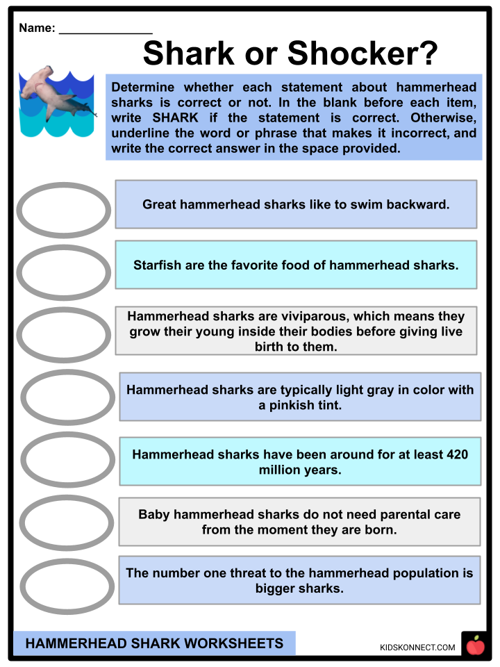 Hammerhead Shark Worksheets