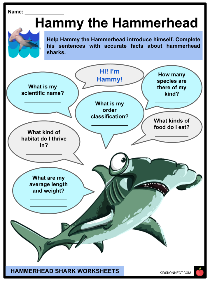 Hammerhead Shark Worksheets