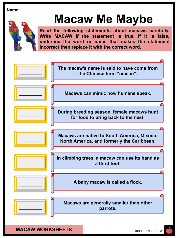 Macaw Worksheets