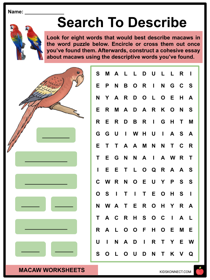 Macaw Worksheets