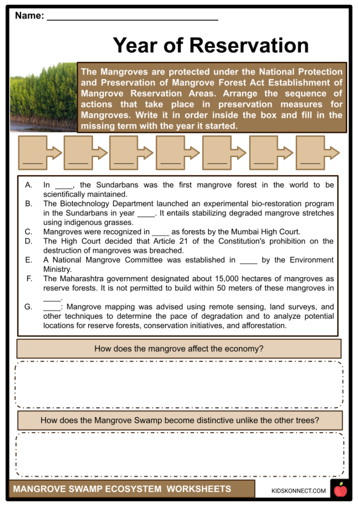 Mangrove Ecosystem Worksheets