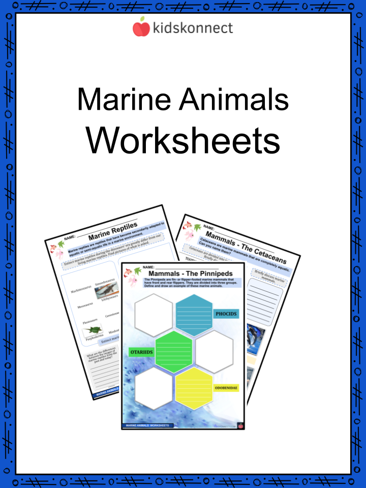 Marine Animals Facts & Worksheets