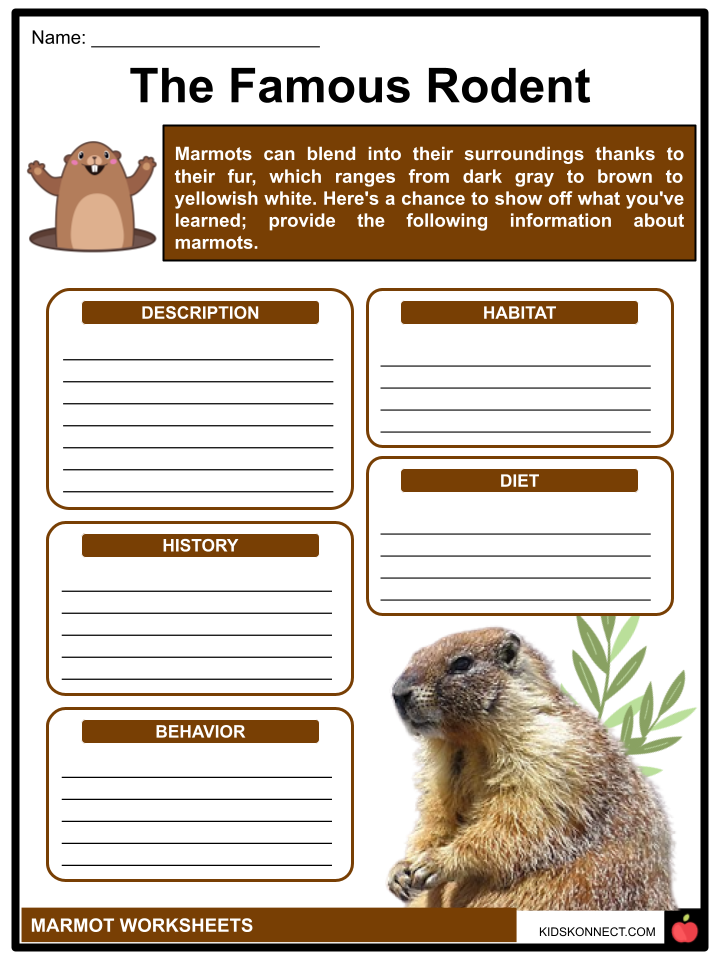 Test - Caty Mini – Plateau Marmots