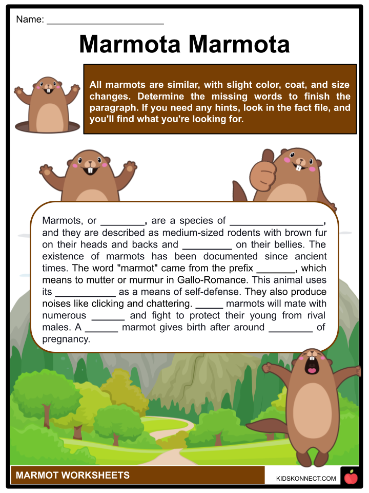 Test - Similo Mythes – Plateau Marmots