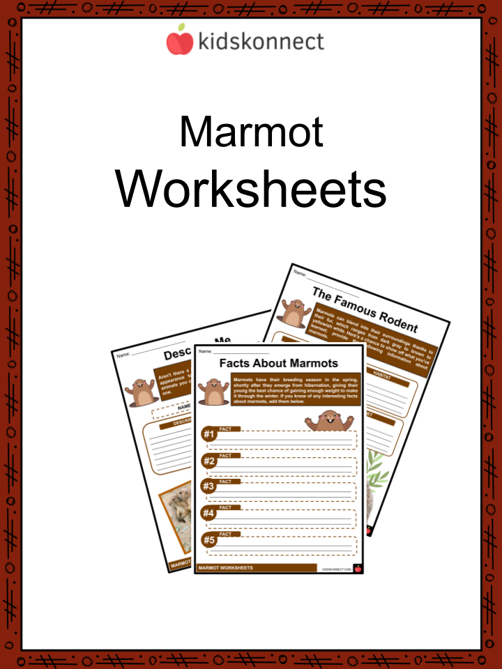 Animal Worksheets & Facts | Habitat, Farm Animals | Resources For Kids