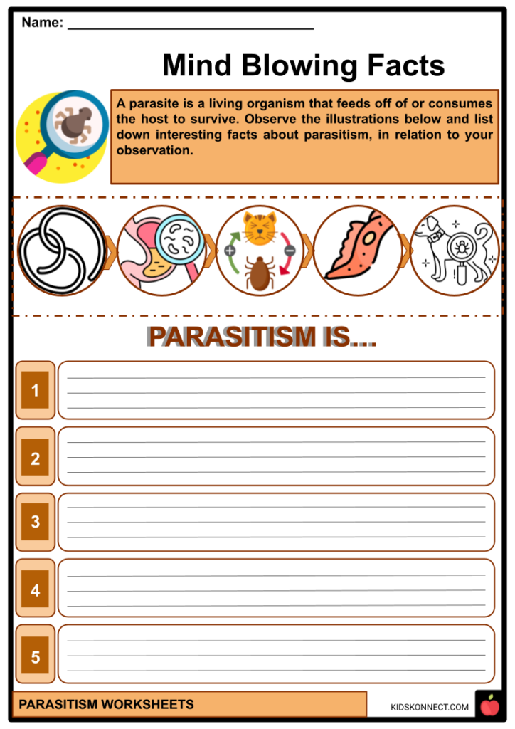  Parasitism Worksheets