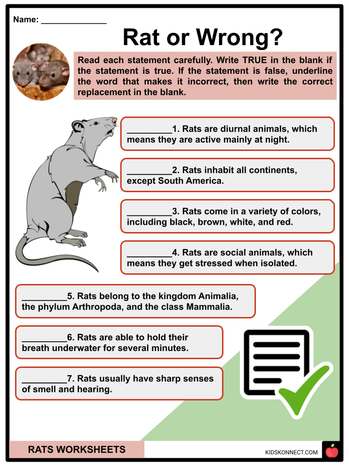 Rats Worksheets