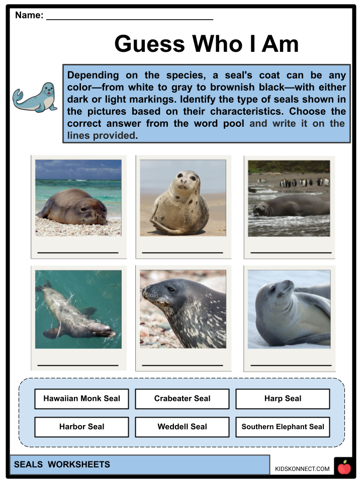 Seals Worksheets