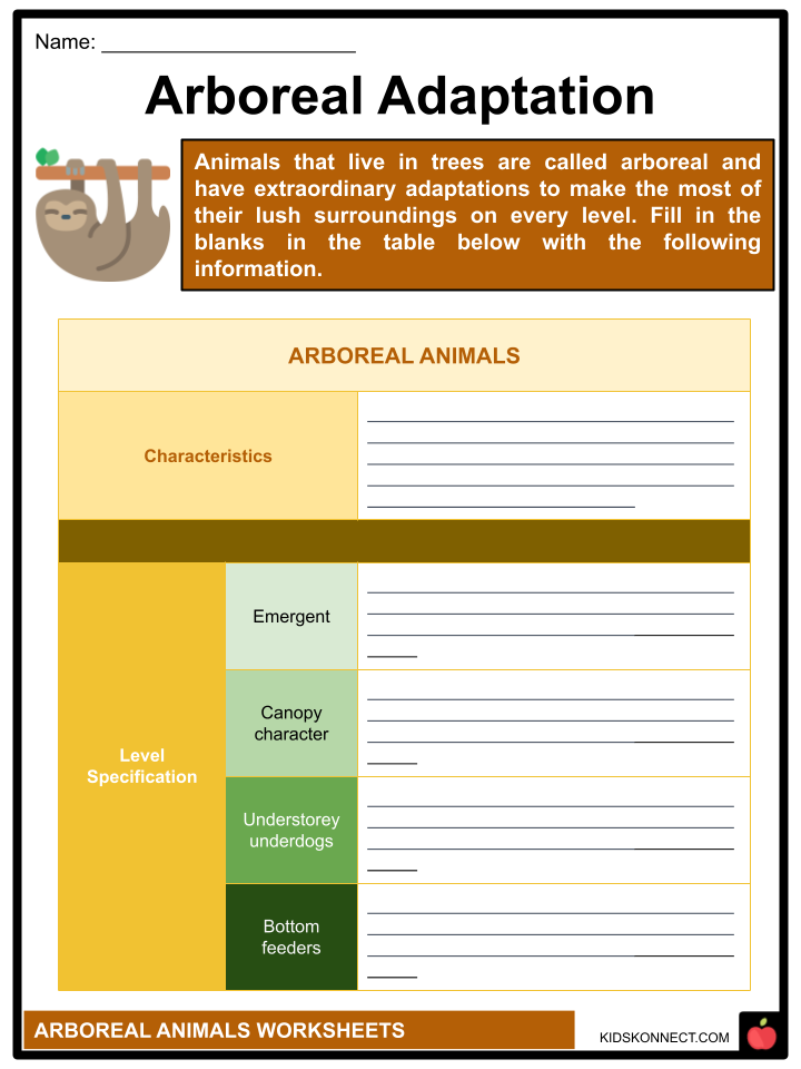 Arboreal Animals Worksheets