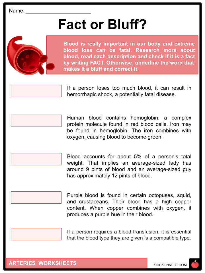 Arteries Worksheets