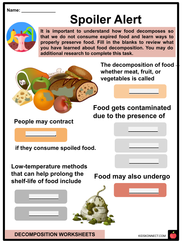 decomposition-worksheets-terminology-function-organisms