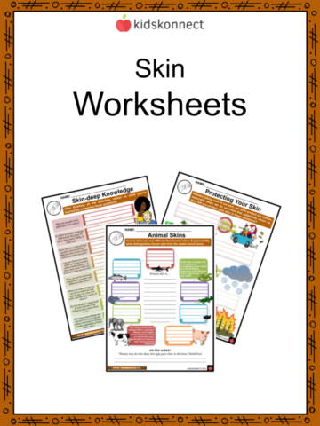 health worksheets kindergarten